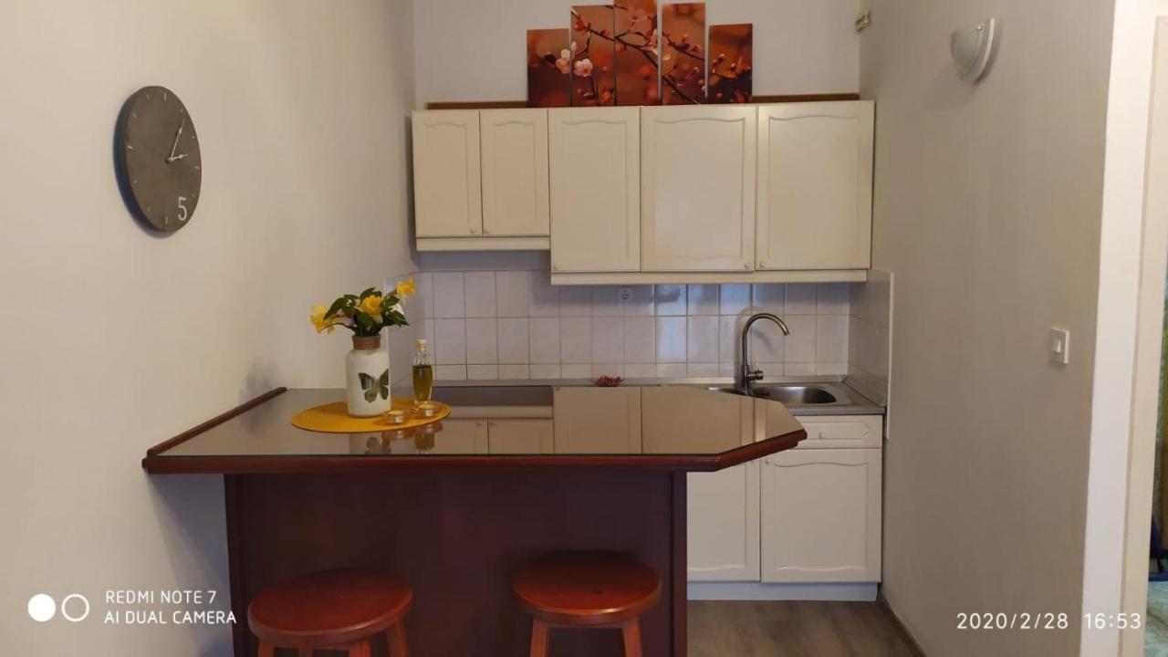 Studio Apartment Marcelina 普莱克 外观 照片